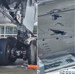 IMG_2733.jpeg IMG_2733.jpeg