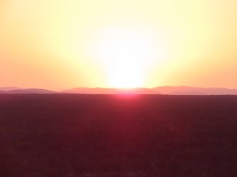 IMG_7077.jpeg IMG_7077.jpeg