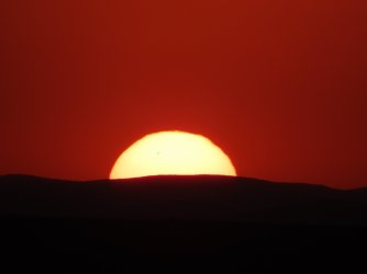 IMG_7080.jpeg IMG_7080.jpeg