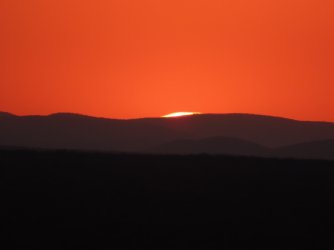 IMG_7082.jpeg IMG_7082.jpeg