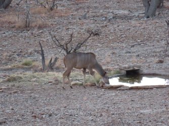 IMG_7074.jpeg IMG_7074.jpeg