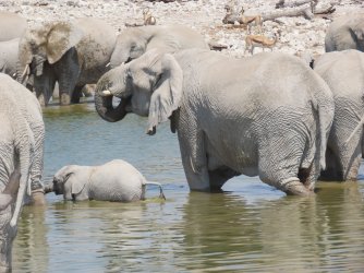 IMG_7090.jpeg IMG_7090.jpeg