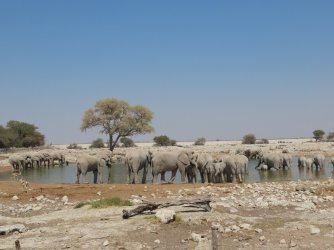 IMG_7089.jpeg IMG_7089.jpeg