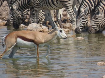 IMG_7092.jpeg IMG_7092.jpeg