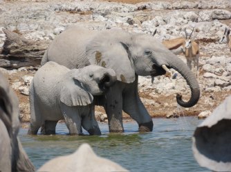 IMG_7093.jpeg IMG_7093.jpeg