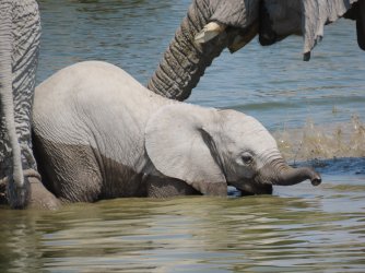 IMG_7094.jpeg IMG_7094.jpeg