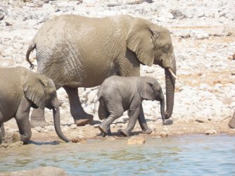 IMG_7105.jpeg IMG_7105.jpeg