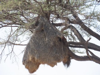 IMG_7112.jpeg IMG_7112.jpeg