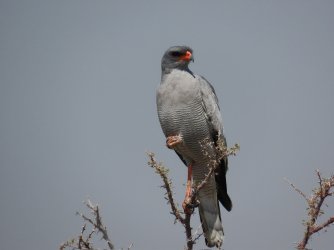 IMG_7114.jpeg IMG_7114.jpeg