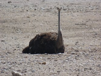 IMG_7118.jpeg IMG_7118.jpeg