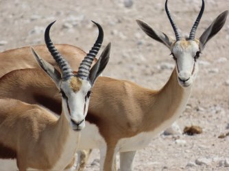 IMG_7121.jpeg IMG_7121.jpeg