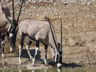 IMG_7126.jpeg IMG_7126.jpeg