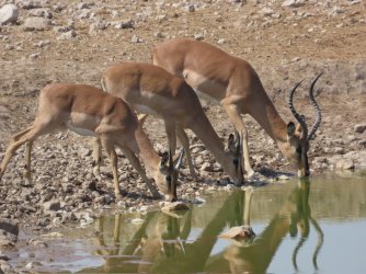 IMG_7130.jpeg IMG_7130.jpeg