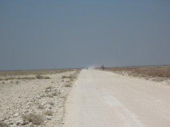 IMG_7116.jpeg IMG_7116.jpeg