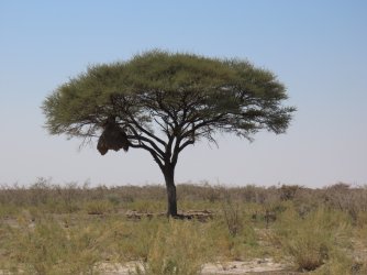 IMG_7111.jpeg IMG_7111.jpeg