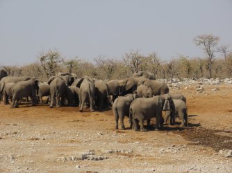 IMG_7133.jpeg IMG_7133.jpeg