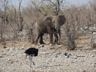 IMG_7138.jpeg IMG_7138.jpeg