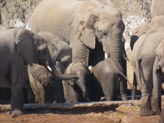 IMG_7161.jpeg IMG_7161.jpeg