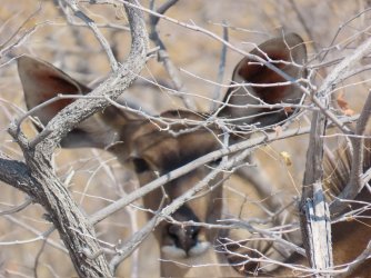 IMG_7165.jpeg IMG_7165.jpeg