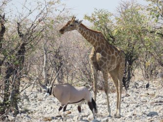 IMG_7179.jpeg IMG_7179.jpeg