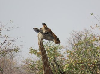 IMG_7180.jpeg IMG_7180.jpeg