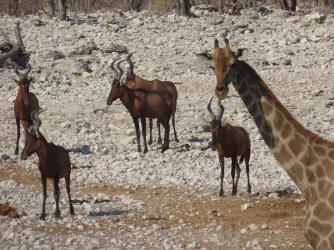 IMG_7200.jpeg IMG_7200.jpeg