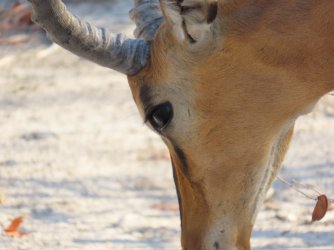 IMG_7219.jpeg IMG_7219.jpeg