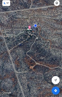 IMG_5108.jpeg IMG_5108.jpeg