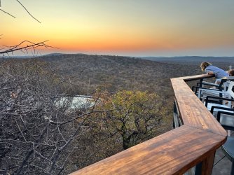 IMG_4990.jpeg IMG_4990.jpeg