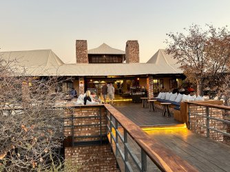 IMG_4988.jpeg IMG_4988.jpeg