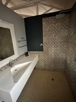 IMG_4981.jpeg IMG_4981.jpeg