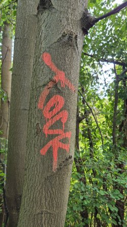 IMG-20240823-WA0013.jpeg IMG-20240823-WA0013.jpeg