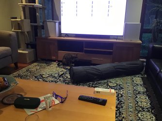 IMG_0584.jpeg IMG_0584.jpeg