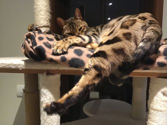 IMG_0589.jpeg IMG_0589.jpeg