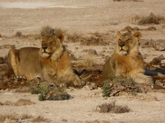 IMG_7256.jpeg IMG_7256.jpeg