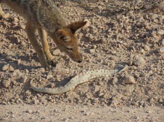 IMG_7283.jpeg IMG_7283.jpeg