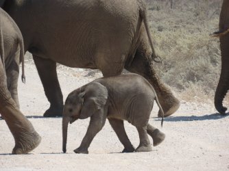 IMG_7372.jpeg IMG_7372.jpeg