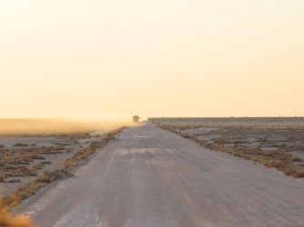 IMG_7243.jpeg IMG_7243.jpeg