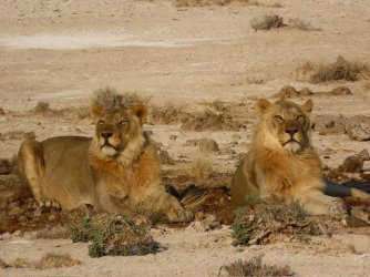 IMG_7257.jpeg IMG_7257.jpeg