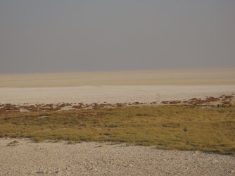 IMG_7260.jpeg IMG_7260.jpeg