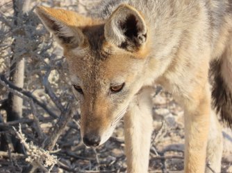 IMG_7277.jpeg IMG_7277.jpeg