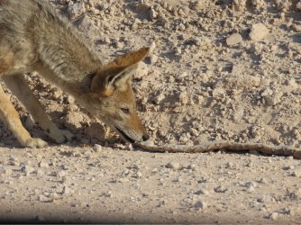 IMG_7281.jpeg IMG_7281.jpeg