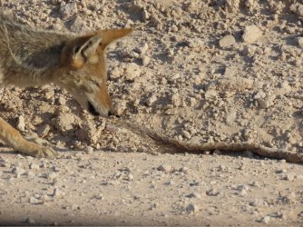 IMG_7280.jpeg IMG_7280.jpeg