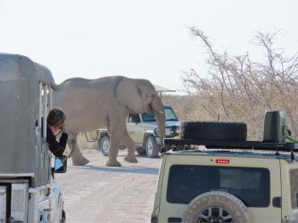 IMG_7284.jpeg IMG_7284.jpeg