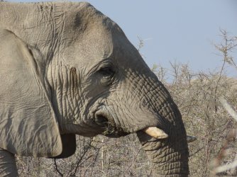 IMG_7288.jpeg IMG_7288.jpeg