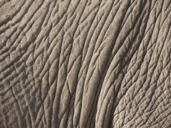 IMG_7292.jpeg IMG_7292.jpeg