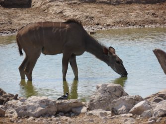 IMG_7328.jpeg IMG_7328.jpeg