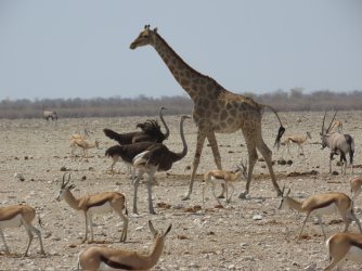 IMG_7345.jpeg IMG_7345.jpeg