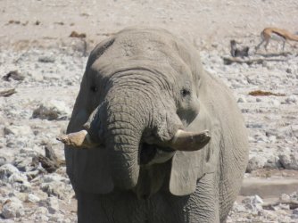 IMG_7377.jpeg IMG_7377.jpeg