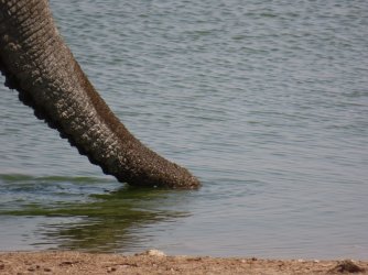 IMG_7380.jpeg IMG_7380.jpeg